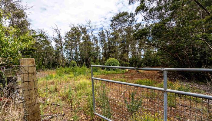 1939 B Piiholo Rd B Makawao, Hi vacant land for sale - photo 1 of 37