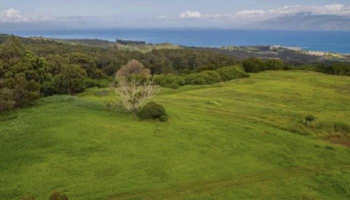 205 Keoawa St Lot 7 Lahaina, Hi vacant land for sale - photo 1 of 15