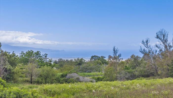 21 Noholoa Pl #2 and #3 Kula, Hi vacant land for sale - photo 1 of 16