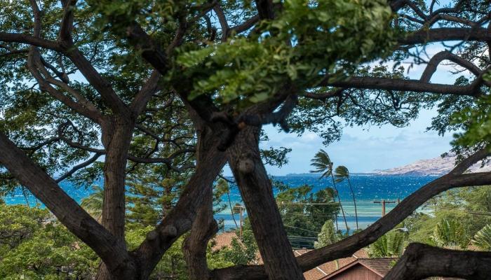 Maui Vista condo # 2422, Kihei, Hawaii - photo 1 of 27