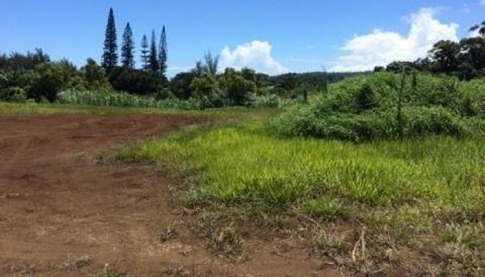 225 A S Holokai Rd  , Hi vacant land for sale - photo 1 of 1
