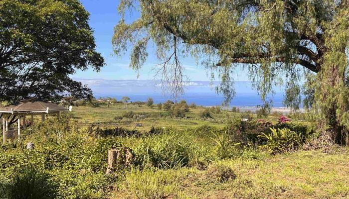 2505  Kula Hwy , Kula/Ulupalakua/Kanaio home - photo 1 of 28