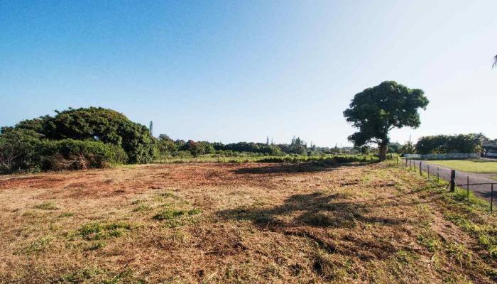 2561 Alohia Pl  Haiku, Hi vacant land for sale - photo 1 of 5