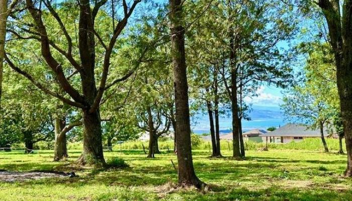 26 Kula Hwy Lower Kula  - photo 1 of 35