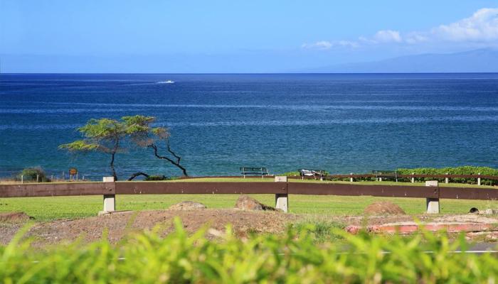 Hale Kamaole condo # 102, Kihei, Hawaii - photo 1 of 24