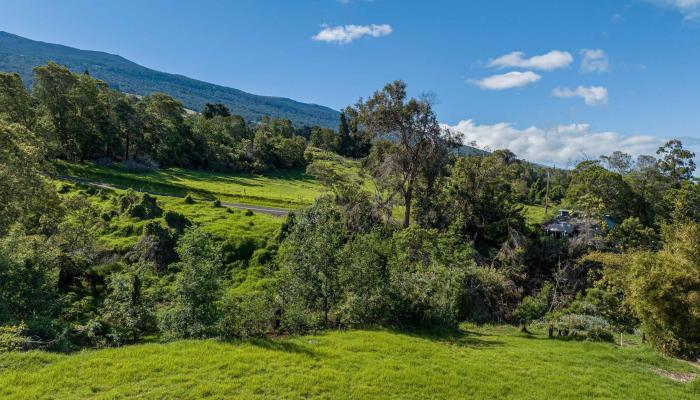 30 Kamila St  Kula, Hi vacant land for sale - photo 1 of 18