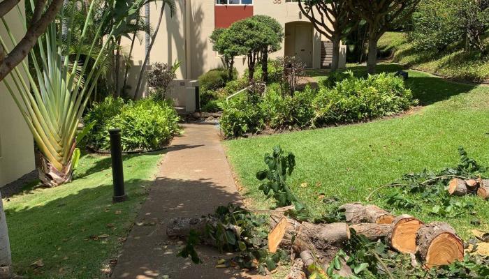 condo # 3805, Kihei, Hawaii - photo 1 of 13