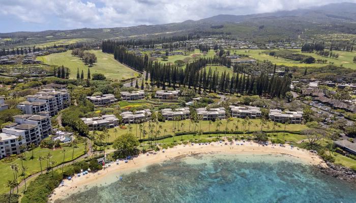 Coconut Grove condo # 32, Lahaina, Hawaii - photo 1 of 47