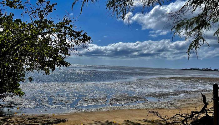 320 Seaside Pl  Kaunakakai, Hi vacant land for sale - photo 1 of 20