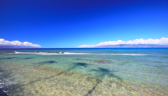 Papakea Resort I II condo # C107, Lahaina, Hawaii - photo 1 of 49