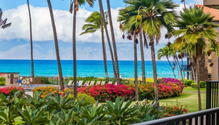 Papakea Resort I II condo # C204, Lahaina, Hawaii - photo 1 of 28
