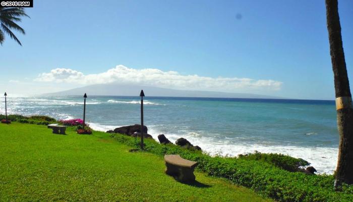 Polynesian Shores condo # 101, Lahaina, Hawaii - photo 1 of 30