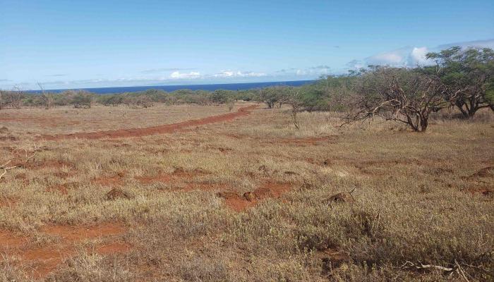 4131 Pohakuloa Rd Lot # 189 Maunaloa, Hi vacant land for sale - photo 1 of 15