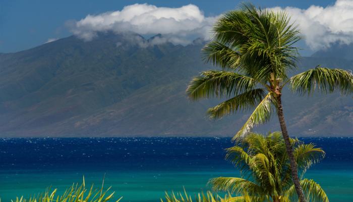 Sands of Kahana condo # 134, Lahaina, Hawaii - photo 1 of 50