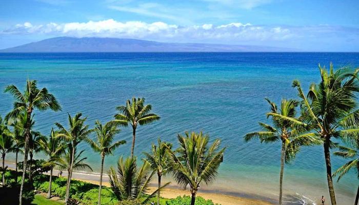 Valley Isle Resort condo # 901B, Lahaina, Hawaii - photo 1 of 29