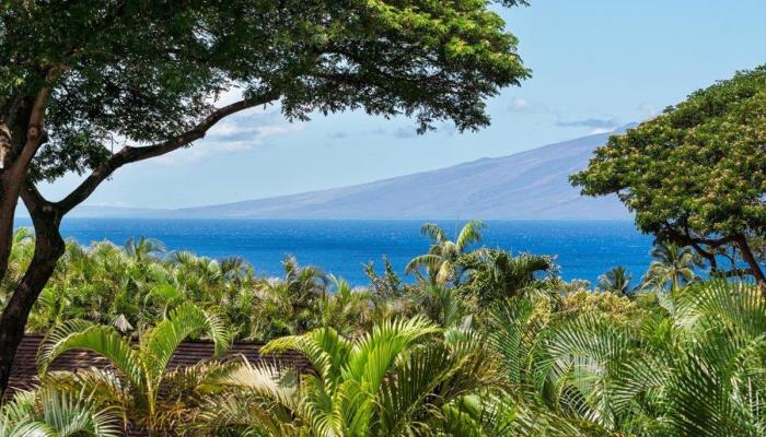 46  Iwa Pl , Kaanapali home - photo 1 of 47