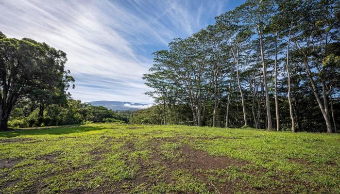 480 Kuiaha Rd  Haiku, Hi vacant land for sale - photo 1 of 28