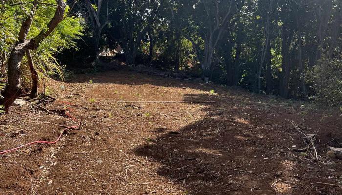 50 Pauwela Rd Unit B Haiku, Hi vacant land for sale - photo 1 of 6