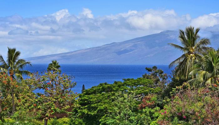 Masters condo # 201, Lahaina, Hawaii - photo 1 of 41