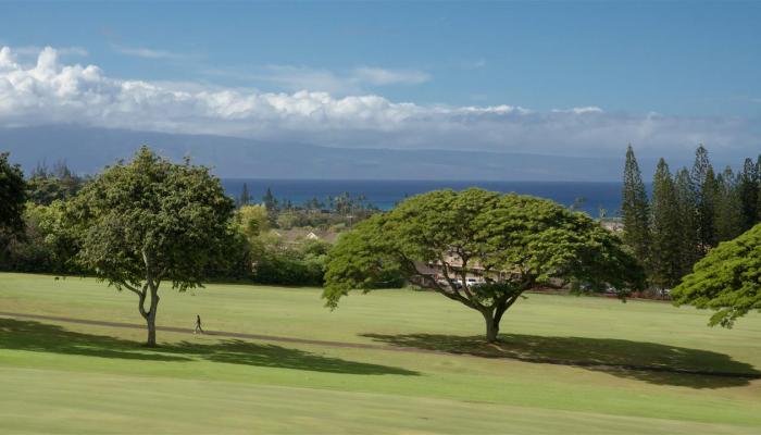 Kapalua Golf Villas condo # 17T7, Lahaina, Hawaii - photo 1 of 25