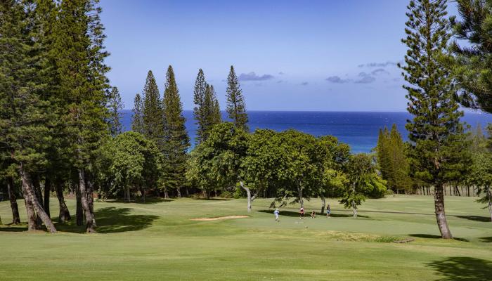 Kapalua Golf Villas condo # 27P7-8, Lahaina, Hawaii - photo 1 of 37