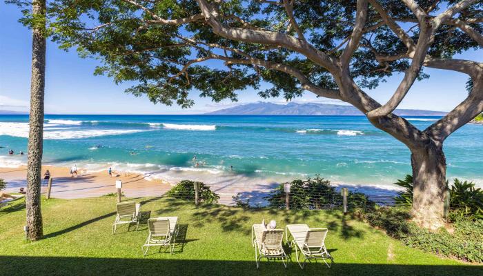 Napili Sunset condo # 215, Lahaina, Hawaii - photo 1 of 41