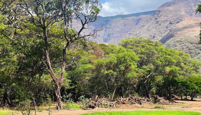 5757 Kamehameha V Hwy  Kaunakakai, Hi vacant land for sale - photo 1 of 10