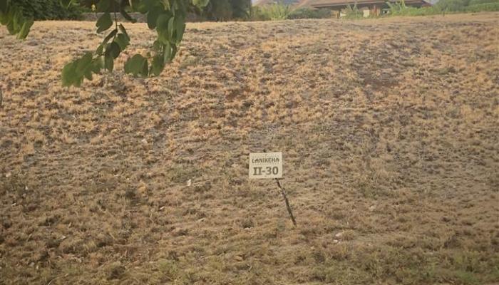 68 Keahilele Pl  Lahaina, Hi vacant land for sale - photo 1 of 1