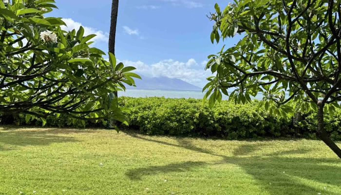 Wavecrest condo # A110, Kaunakakai, Hawaii - photo 1 of 20