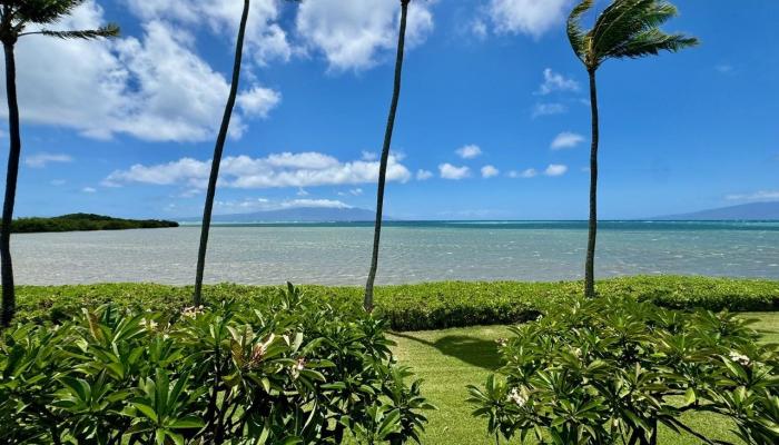 Wavecrest condo # A213, Kaunakakai, Hawaii - photo 1 of 26