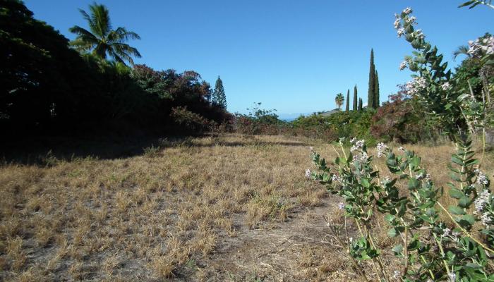 769 Kumulani Dr  Kihei, Hi vacant land for sale - photo 1 of 5