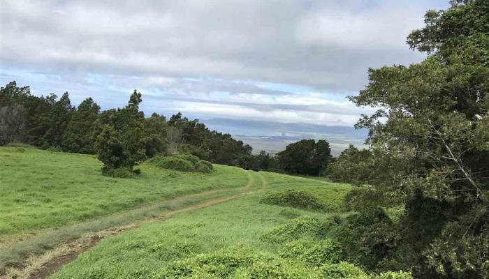 77000 Kula Hwy  Kula, Hi vacant land for sale - photo 1 of 1