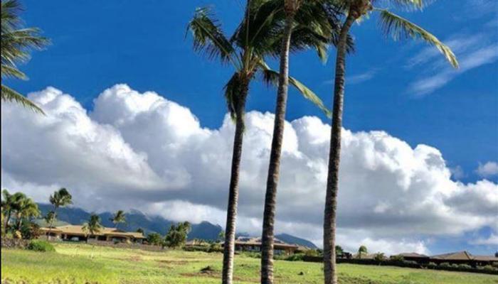 85 Lolii Pl Lot 35 Phase 1 Lahaina, Hi vacant land for sale - photo 1 of 12