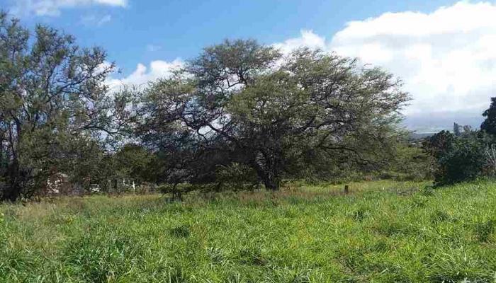 89 MOHALA Pl  Pukalani, Hi vacant land for sale - photo 1 of 7