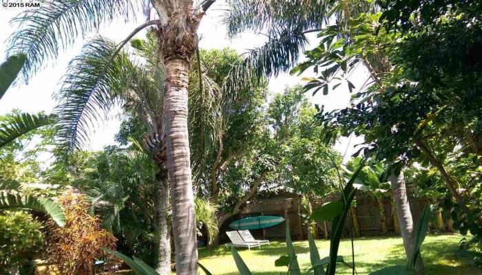 90-B  Aleiki Pl Kuau Point, Spreckelsville/Paia/Kuau home - photo 1 of 8