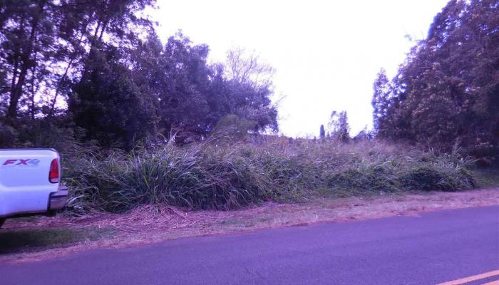Ainakula Rd  Kula, Hi vacant land for sale - photo 1 of 3