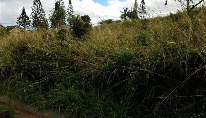D17 Mahiki Pl  Maunaloa, Hi vacant land for sale - photo 1 of 6