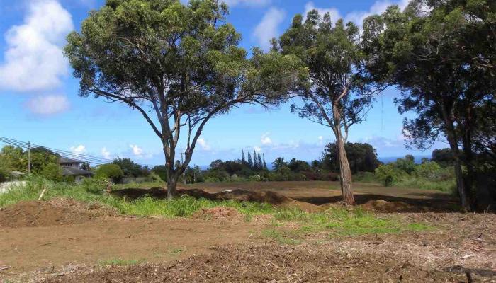 0 S Holokai Rd  , Hi vacant land for sale - photo 1 of 15