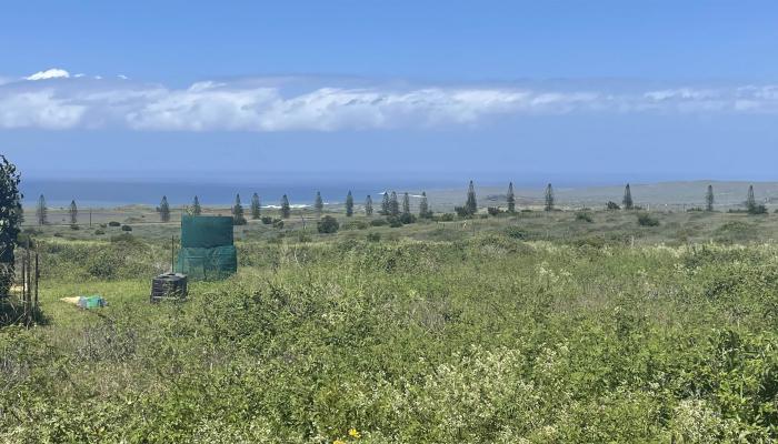 Kaana St  Maunaloa, Hi vacant land for sale - photo 1 of 22