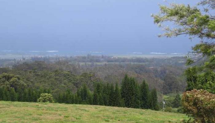 0 Kahakapao RD  Makawao, Hi vacant land for sale - photo 1 of 11