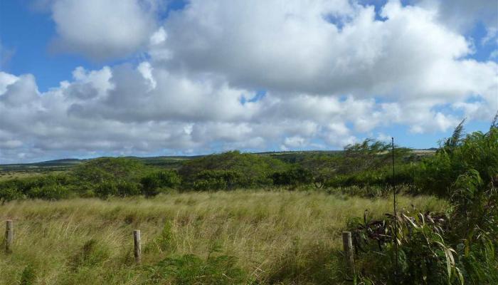 0 Kalua Koi Rd 55 Maunaloa, Hi vacant land for sale - photo 1 of 3
