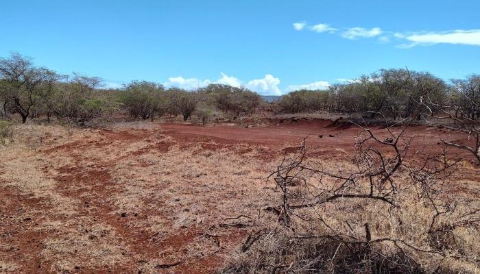 Kulawai Pl 226 Maunaloa, Hi vacant land for sale - photo 1 of 9