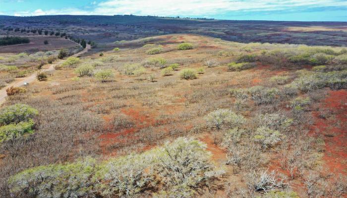 Lot 38 Kalua Koi Rd  Maunaloa, Hi vacant land for sale - photo 1 of 8