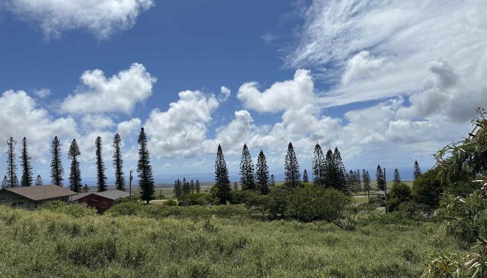 lot 461 Linohau St  Maunaloa, Hi vacant land for sale - photo 1 of 3