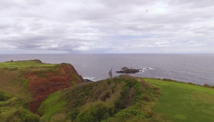 Manawai Pl  Haiku, Hi vacant land for sale - photo 1 of 9