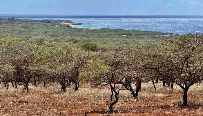 Noho Lio Rd 197 Maunaloa, Hi vacant land for sale - photo 1 of 19