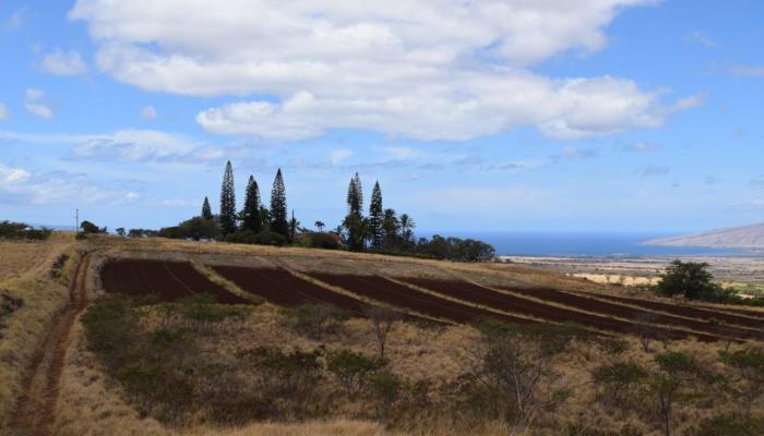 0 Omaopio Rd  Kula, Hi vacant land for sale - photo 1 of 19