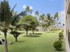 image recently view image